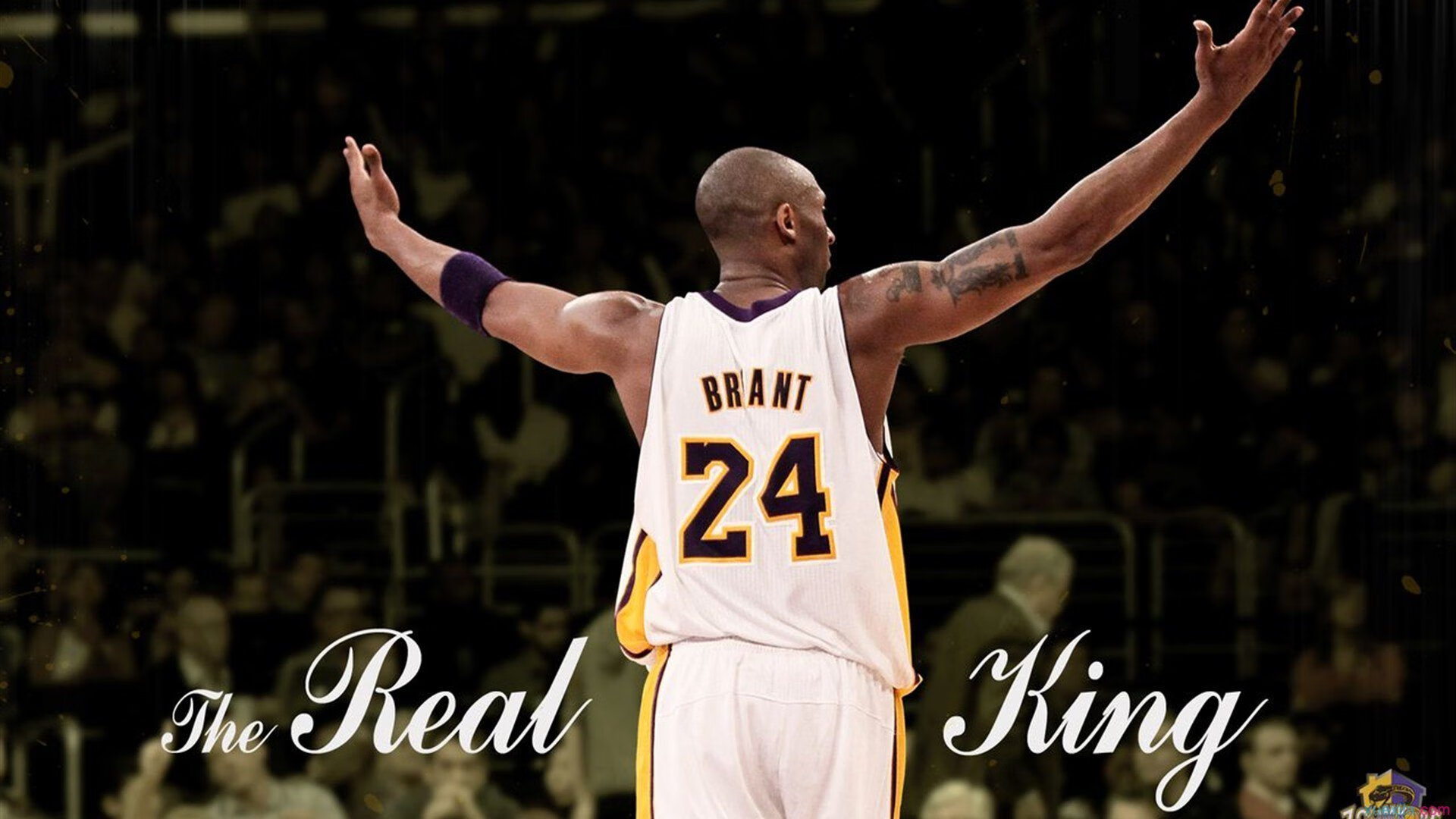 慢节奏下的掩护效果是否更能制造有效出手，掩护的基本动作要领