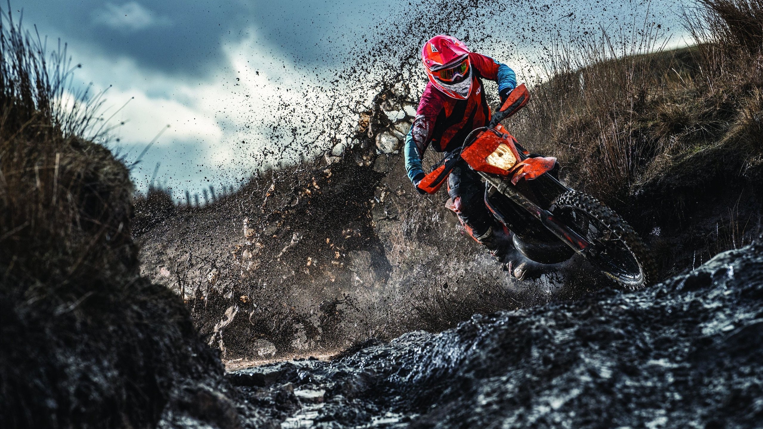 球员是否应协助联盟推动平权教育，球员就应该在